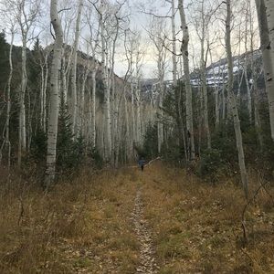 Meet your Posher, Liz